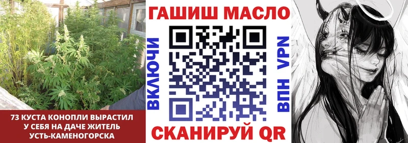 закладки  Красновишерск  ТГК гашишное масло 