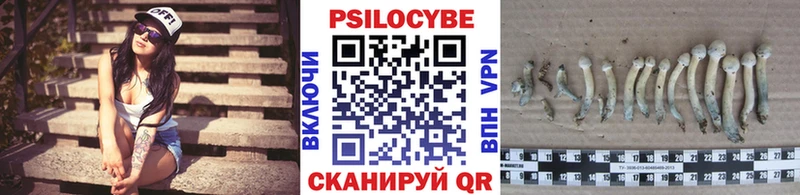 Псилоцибиновые грибы мицелий  как найти закладки  Красновишерск 